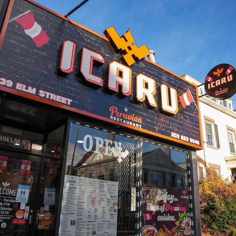 Icaru, business photo 3