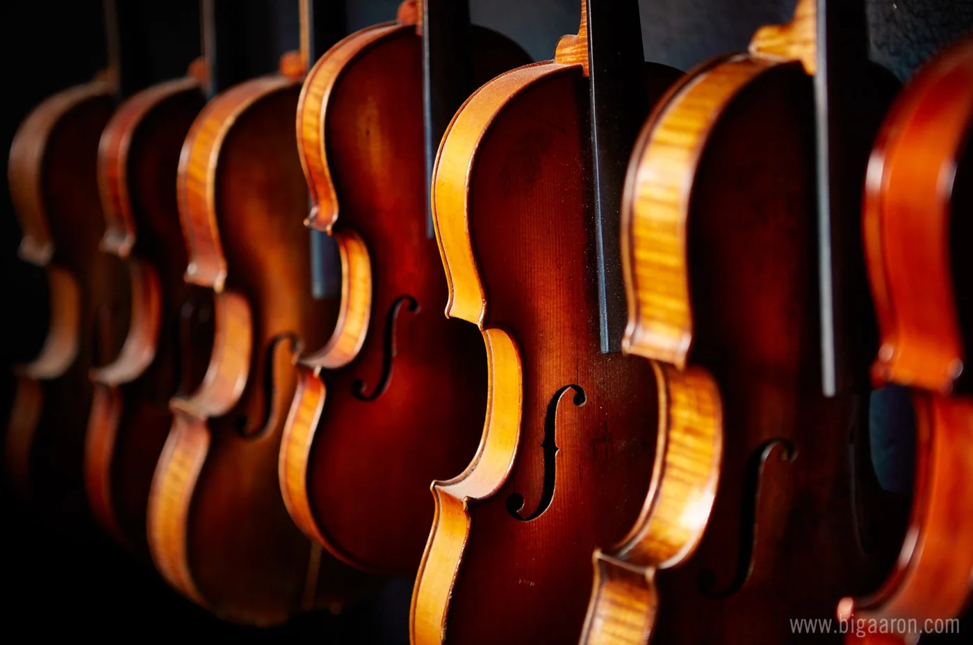 K.H. Chapin Fine Violins, business photo 2