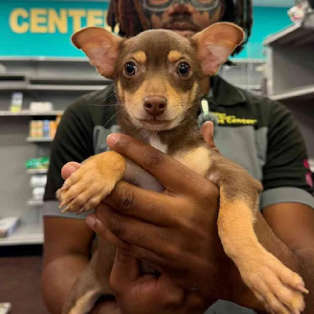 Safari Stan's Pet Center, business photo 3