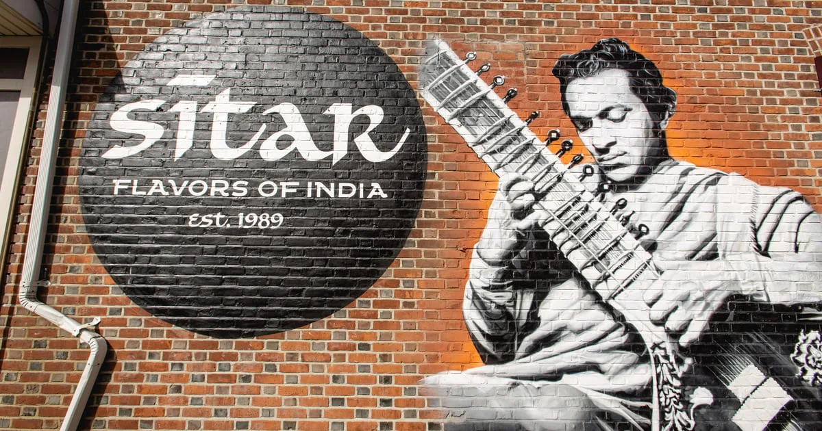 Sitar business photo