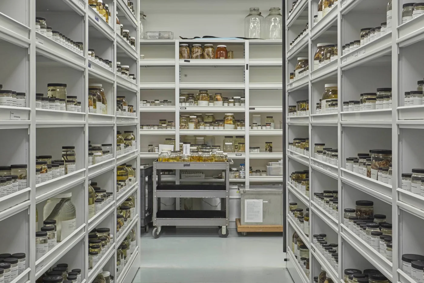 Yale Peabody Museum, business photo 3
